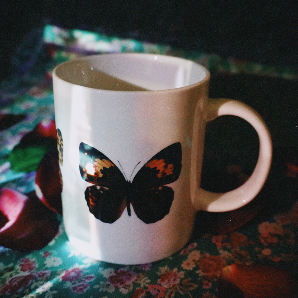 나비 mug cup (brown)