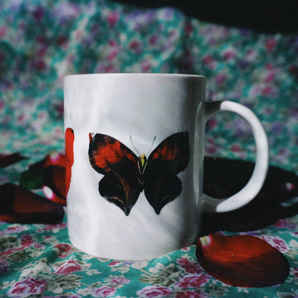 나비 mug cup (red)